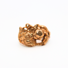 Load image into Gallery viewer, Bound #4 Bronze