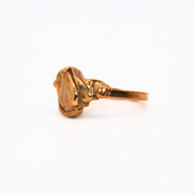 Load image into Gallery viewer, Bound #8 Bronze